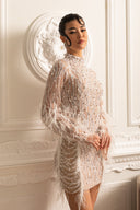 Long Sleeved Sheer Dress With Sequin Embellishments And Feather Accents - Beige