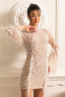 Long Sleeved Sheer Dress With Sequin Embellishments And Feather Accents - Beige