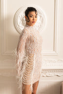 Long Sleeved Sheer Dress With Sequin Embellishments And Feather Accents - Beige