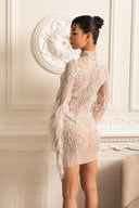 Long Sleeved Sheer Dress With Sequin Embellishments And Feather Accents - Beige