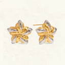 Teagan Gold Star Earrings, view 3