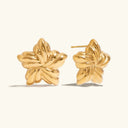 Teagan Gold Star Earrings in 18k gold plated stainless steel