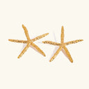Dalia Gold Starfish Earrings in 18k gold plated stainless steel