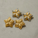 Teagan Gold Star Earrings, view 8