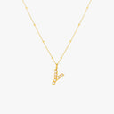 Mina Mother of Pearl Initial Necklace, view 34