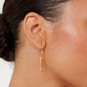 Erin Gold Fish Drop Hook Earrings