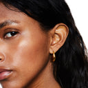 Juno Gold Teardrop Hoop Earrings, view 5