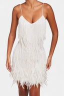 Ella Feather Trim Mini Dress, view 2