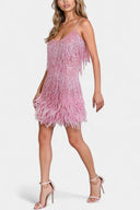 Ella Feather Trim Mini Dress, view 7