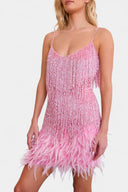 Ella Feather Trim Mini Dress, view 8