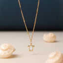 Mabel Mother of Pearl Turtle Charm Necklace, view 5