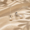 Nerissa Freshwater Pearl Stud Earrings, view 4