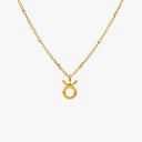 Miranda Zodiac Sign Charm Necklace, view 18