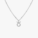 Miranda Zodiac Sign Charm Necklace, view 38